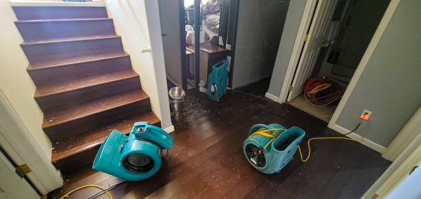 Best Ceiling water damage repair  in Runge, TX