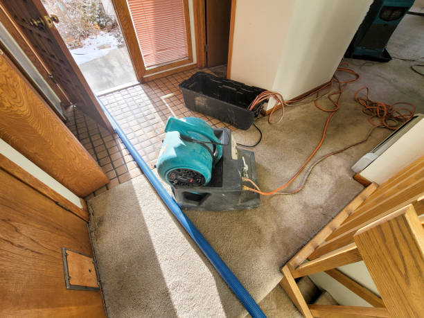 Water damage restoration insurance claims in TX