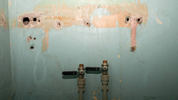 Best Emergency water damage restoration  in Runge, TX