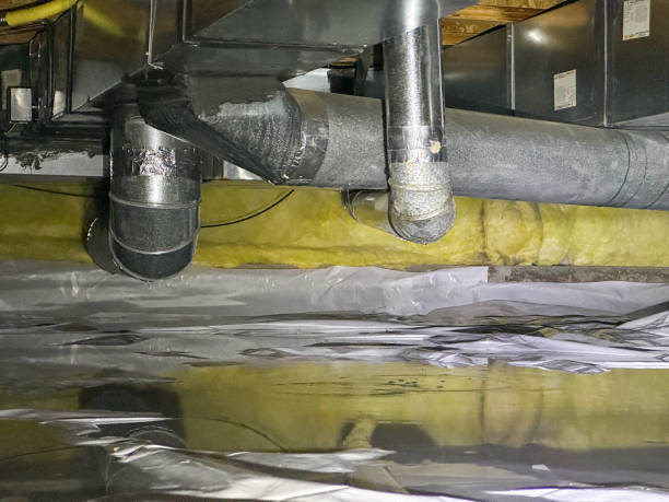 Best Flood damage cleanup  in Runge, TX