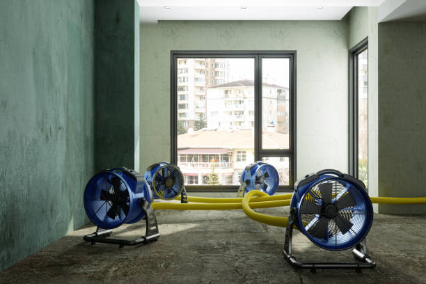 Best Flood restoration services  in Runge, TX